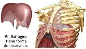 Fisioterapia